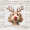 Christmas Golden Doodle Head Transfer
