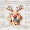 Christmas Golden Retriever Head Transfer