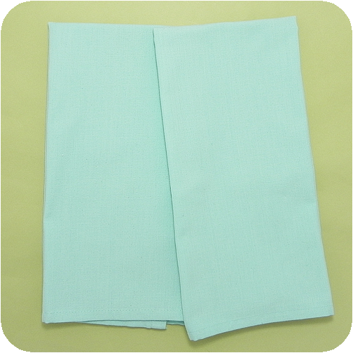 Solid Flat Weave Cotton Kitchen Towels - Pale Aqua