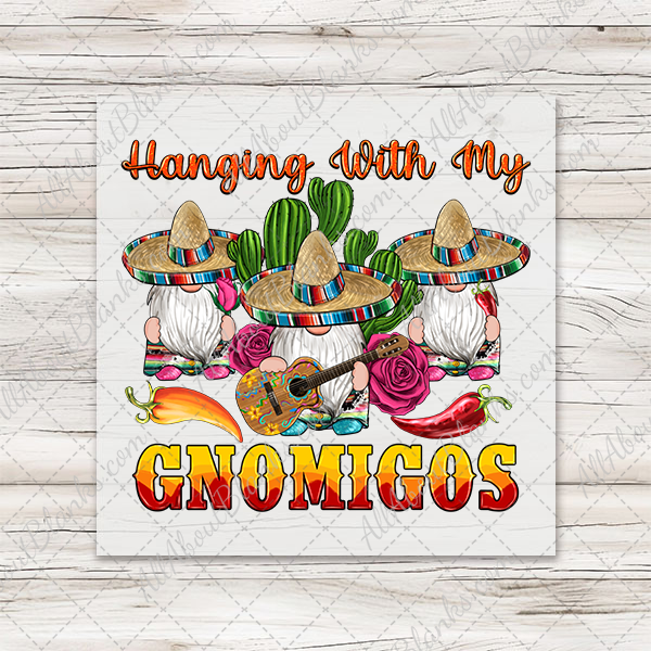 Hanging With my Gnomigos Transfer