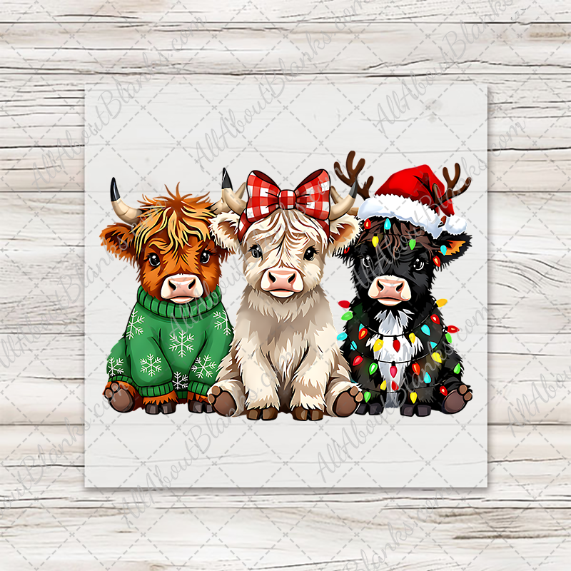 Highland Cow Christmas Trio Transfer - T-SHIRT SIZE