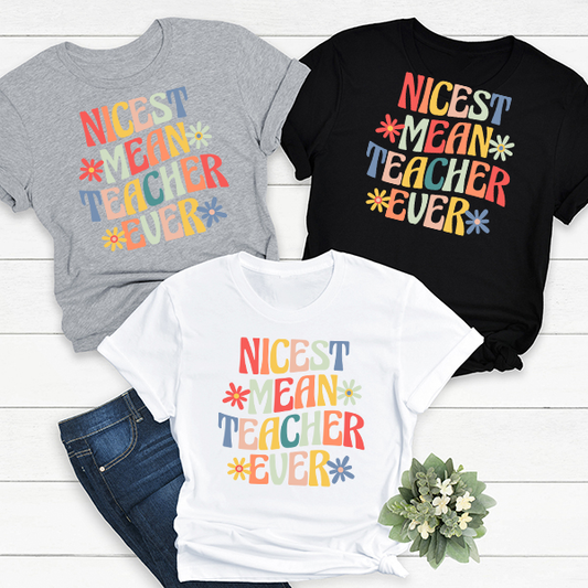 Nicest Mean Teacher Ever Transfer - T-SHIRT SIZE