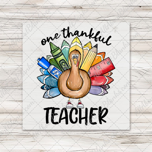 One Thankful Teacher Turkey Transfer - T-SHIRT SIZE