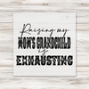 Raising My Mom's Grandchild Is Exhausting DTF Transfer - T-SHIRT SIZE