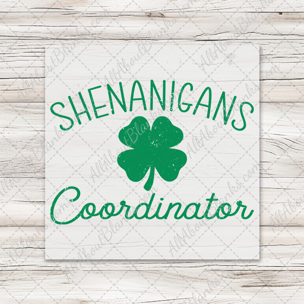 Shenanigans Coordinator Transfer - T-SHIRT SIZE