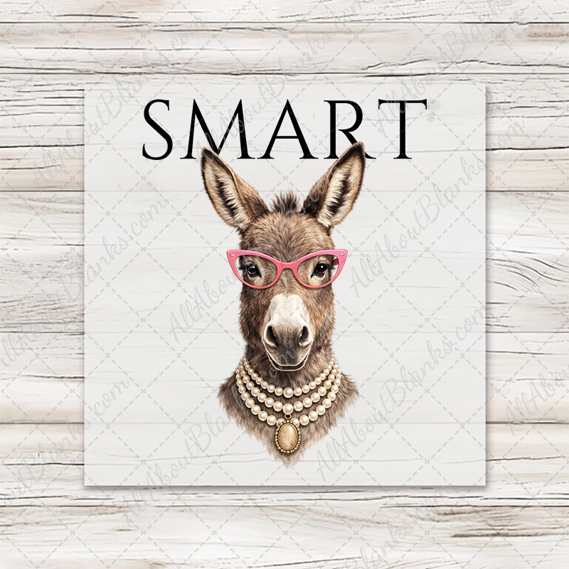 Smartass Donkey Transfer - T-SHIRT SIZE