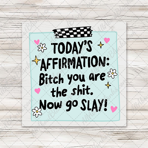 Daily Affirmation Bitch You're The Shit Transfer - T-SHIRT SIZE