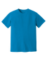 Comfort Colors Adult Heavyweight Tee - Royal Caribbean