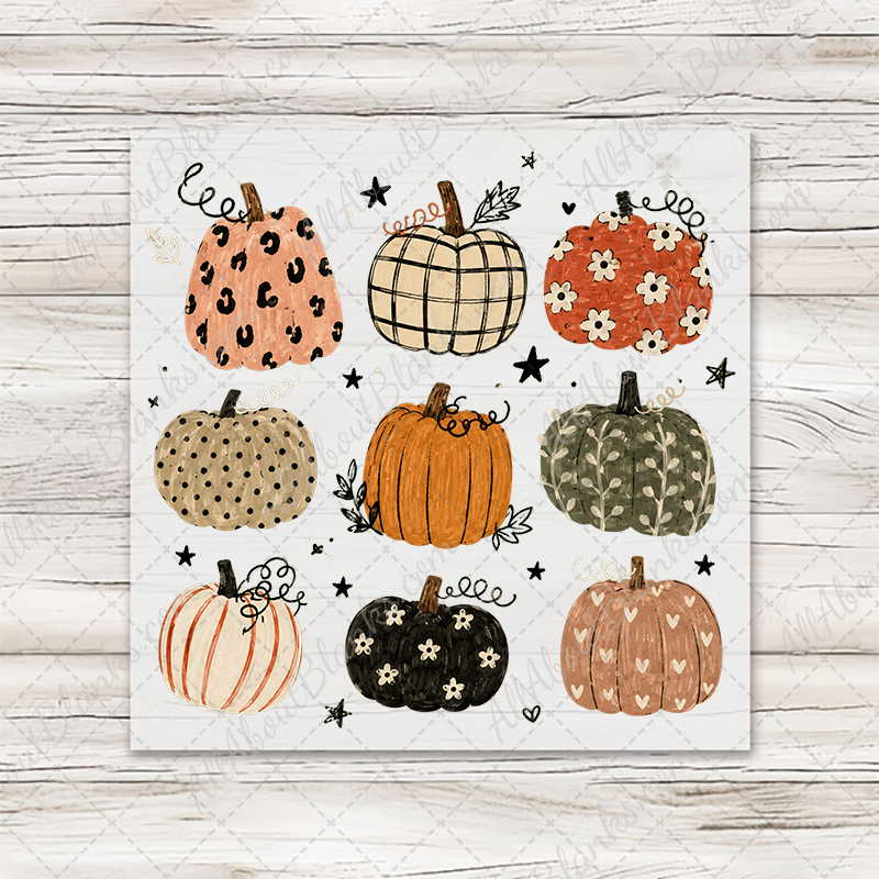 Boho Pumpkins Coquette Transfer - T-SHIRT SIZE