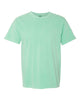 Comfort Colors Adult Heavyweight Tee - Island Reef