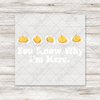 You Know Why I'm Here Deviled Eggs  - T-SHIRT SIZE