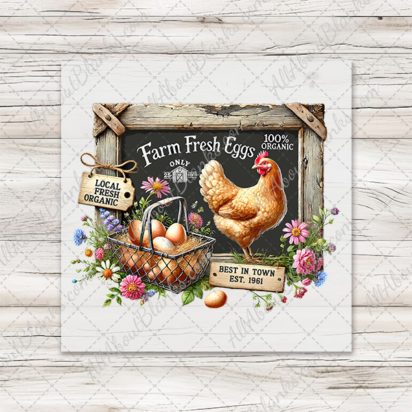 Farm Fresh Eggs Transfer