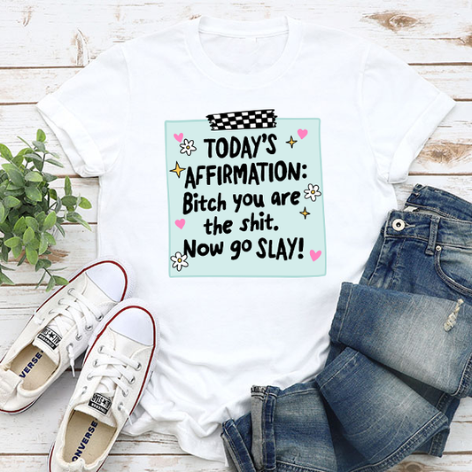 Daily Affirmation Bitch You're The Shit Transfer - T-SHIRT SIZE